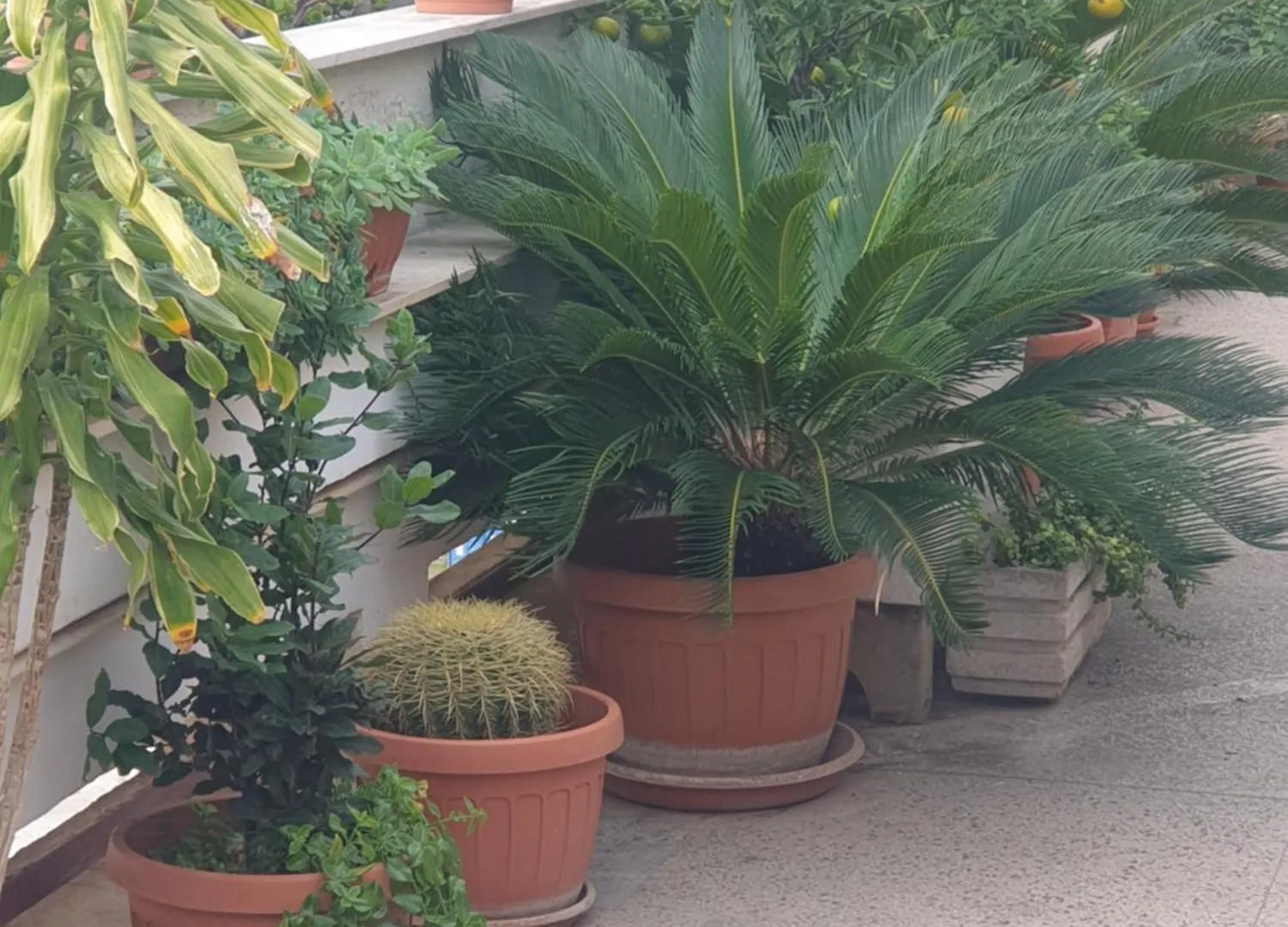 B&B Ganaj La Terrazza Di Ganaj Bari Italy